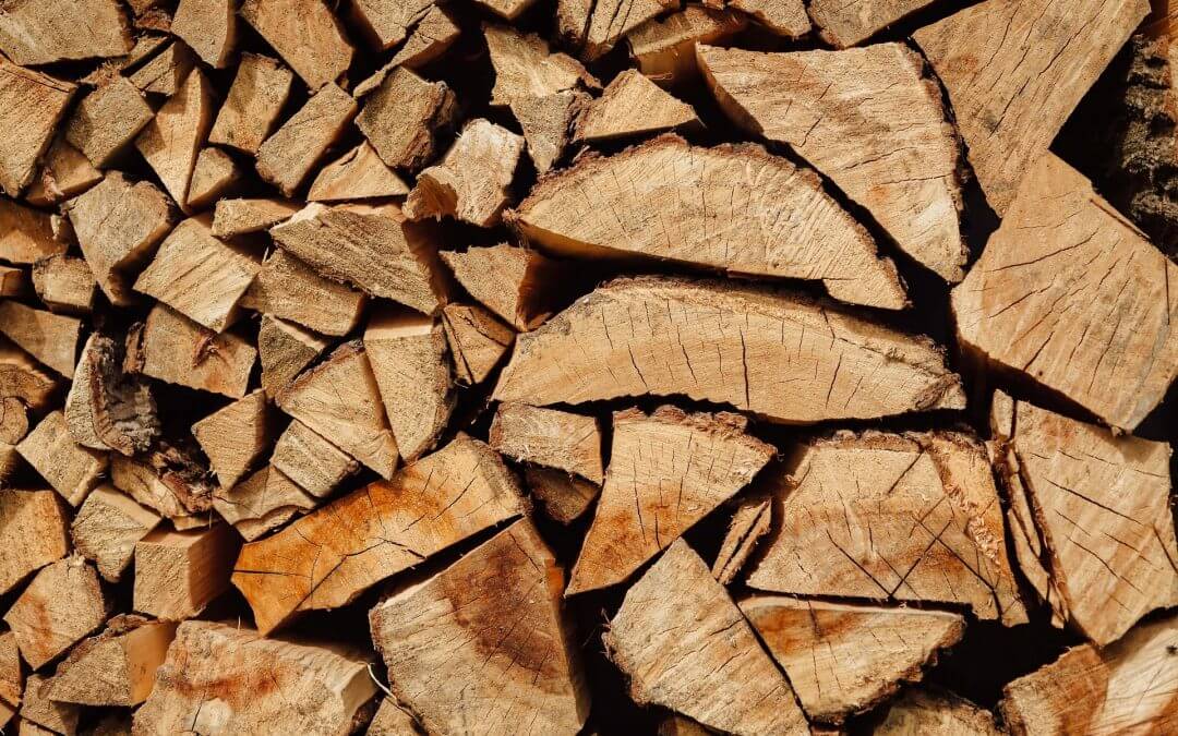 Which wood burns best? A Guide to Types of Softwood & Hardwood found in the UK